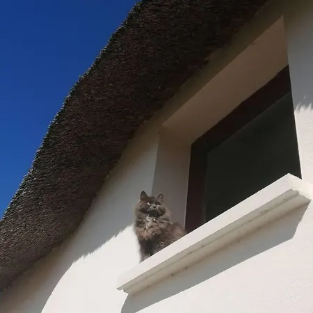 Tatil Evi Les Petites Poules Saint-Lyphard