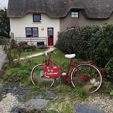 Les Petites Poules *