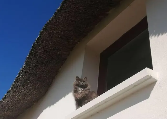 Casa de Férias Les Petites Poules Saint-Lyphard