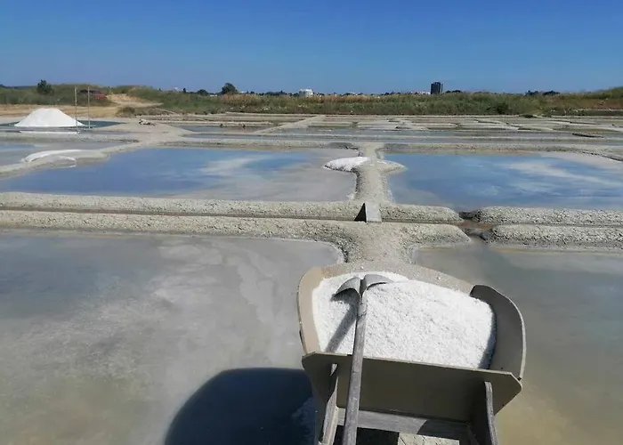 Les Petites Poules Casa vacanze *